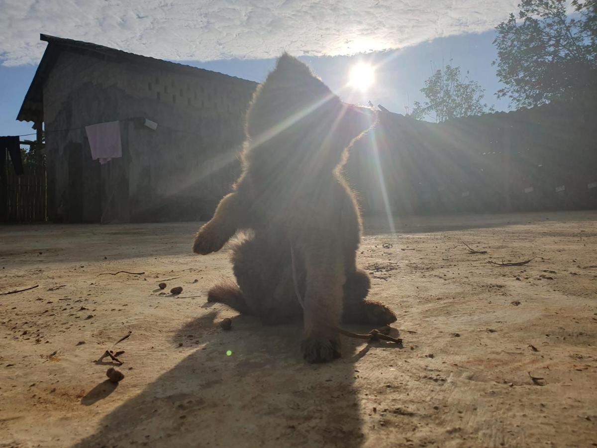 Toong Homestay Ha Giang Extérieur photo